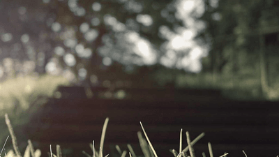 Cyber Security - professional stock photography