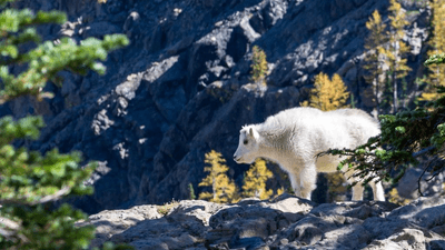 Database - professional stock photography