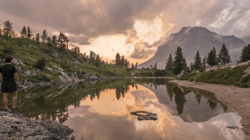 Microchip - professional stock photography