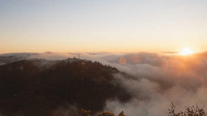 Programming - professional stock photography