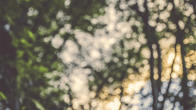 Server Room - professional stock photography